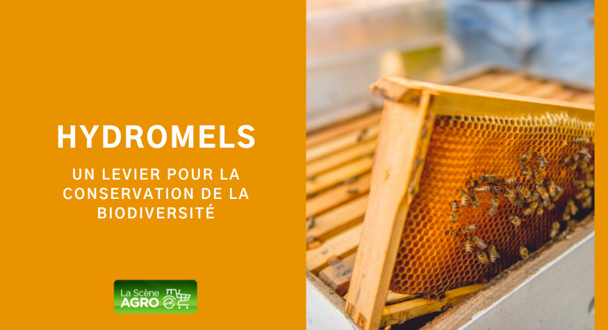 Hydromel Québec Apiculture Québec