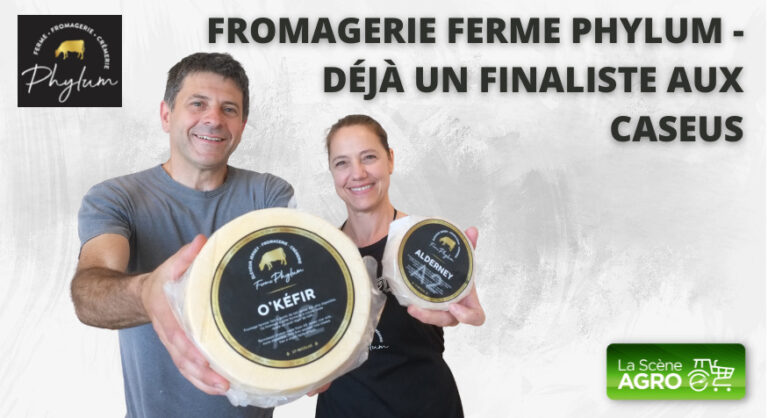 Fromagerie Phylum Caseus finaliste Caseus
