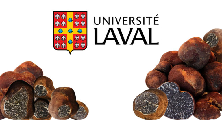 Com de presse – Truffes Qc arôme de truffes Québec