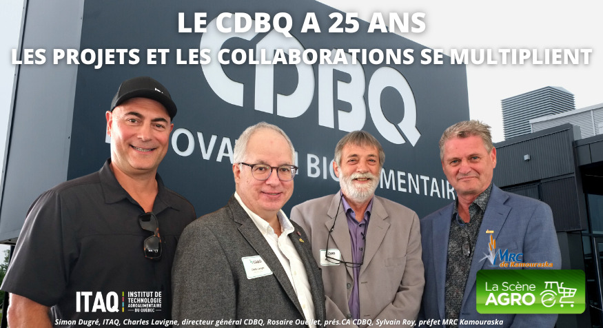 CDBQ 25 ans CDBQ collaborations