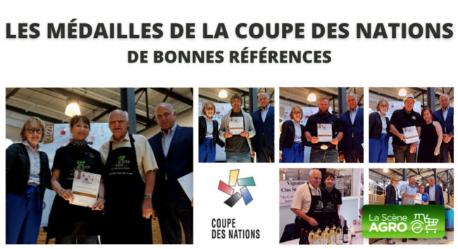 Coupe des nations référence Balado coupe des nations