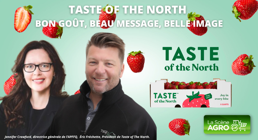 Balado Taste of the North Taste of the North