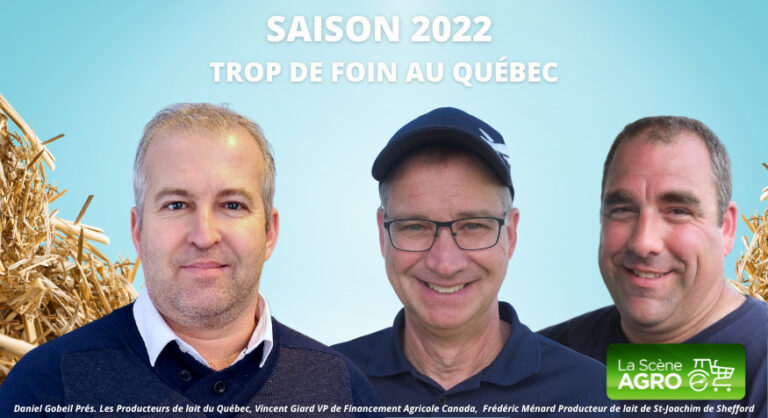 Trop de foin au Québec Lait du Québec
