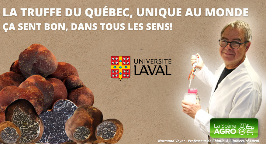 Balado Truffe du Québec Truffe des Appalaches