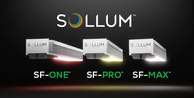 Sollum Sollum DEL