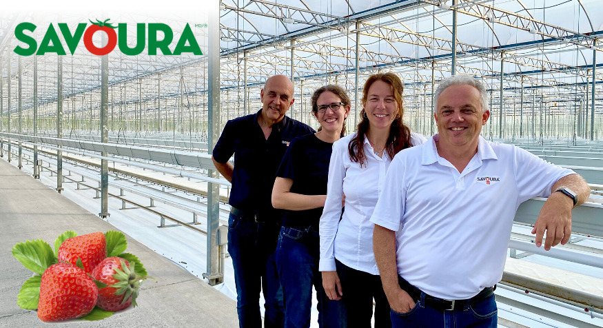 Savoura production fraise Savoura fraise Québec