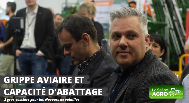 Grippe Aviaire Québec Volaille du Québec