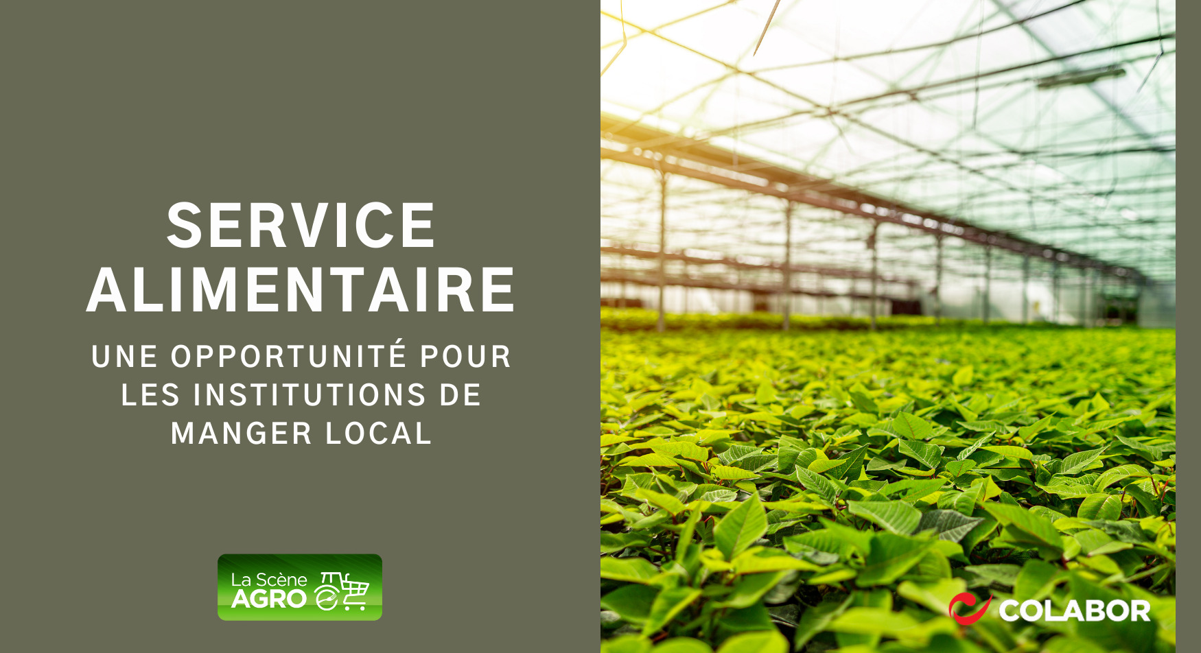 Colabor approvisionnement institutionnel Institutions approvisionnement local