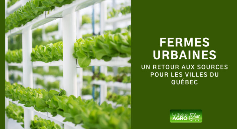 Fermes urbaines agriculture urbaine québec