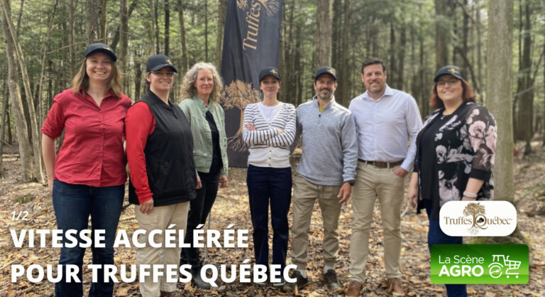 Vitesse accélérée Truffes Québec Trufficulture au Québec