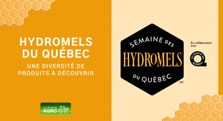 Hydromels du Québec blogue Semaine des hydromels