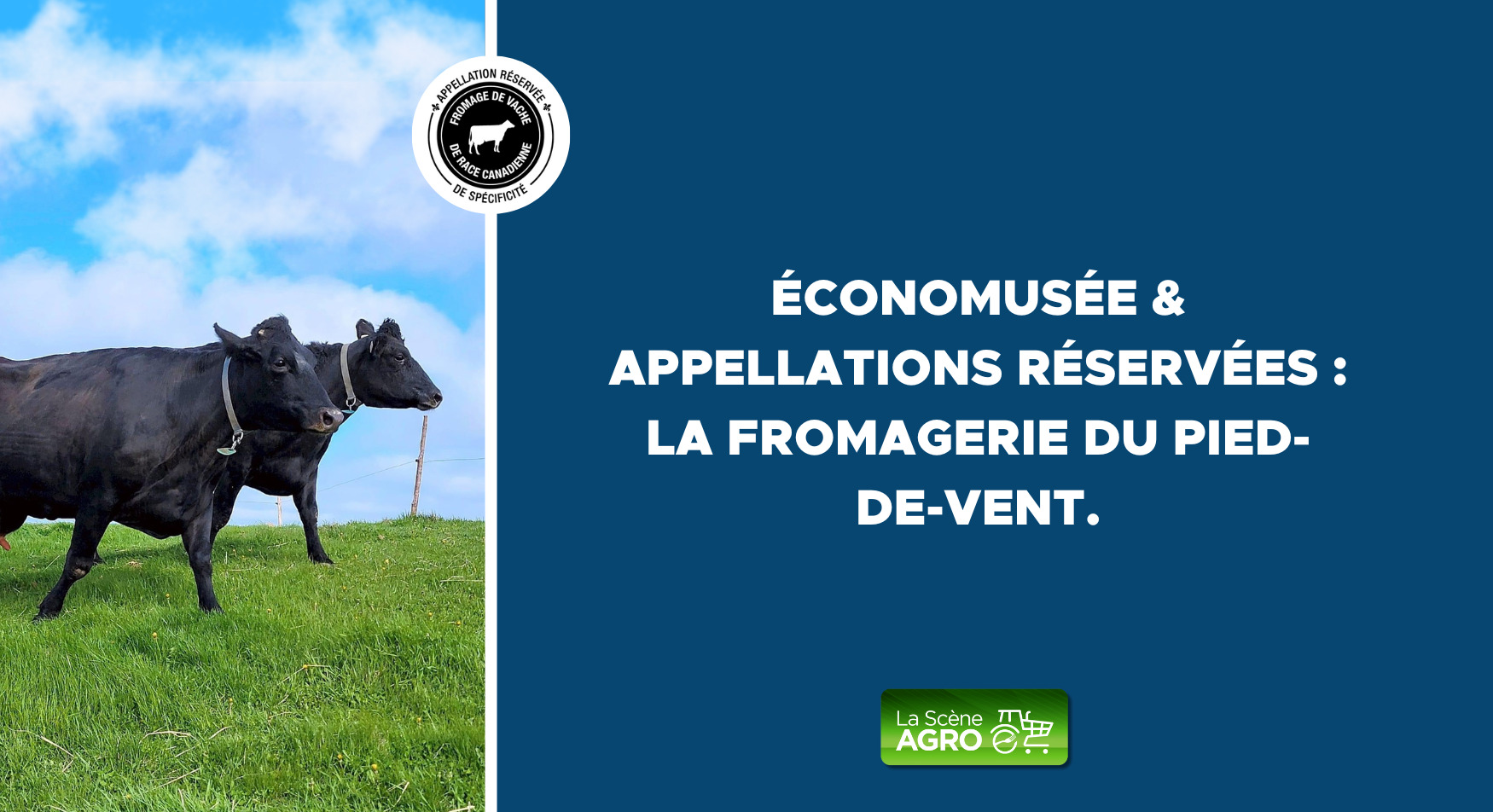 économusée Fromage de vache de race canadienne