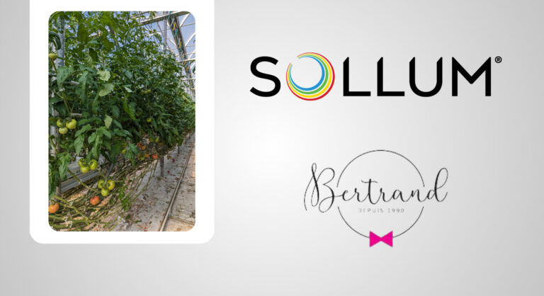 Sollum Serres Bertrand