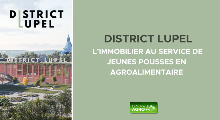 District Lupel