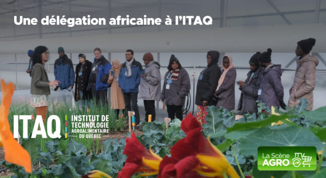 Délégation Africaine ITAQ
