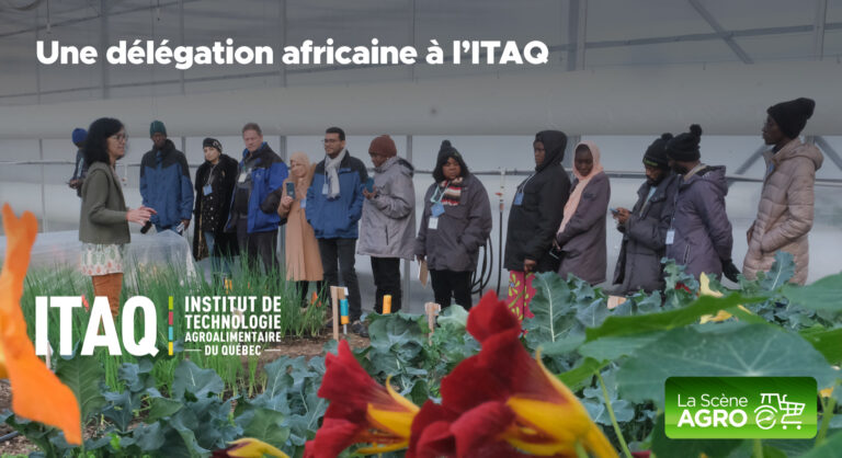 Délégation Africaine ITAQ