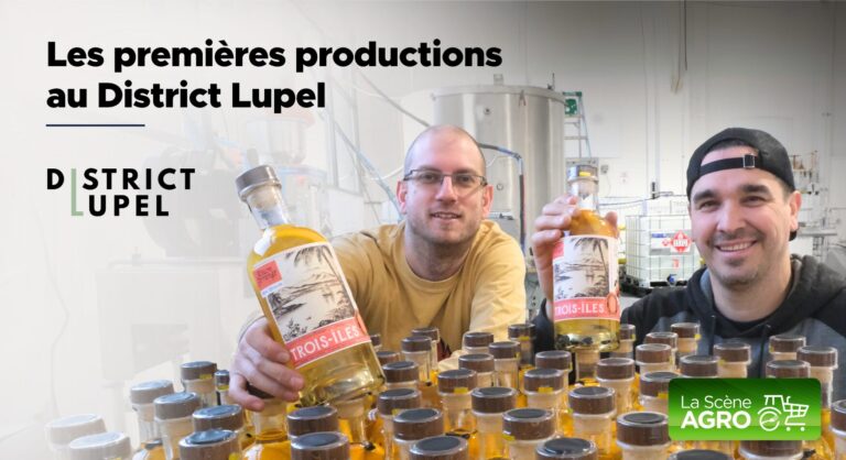 District Lupel  production Rhumerie Grands Charbons