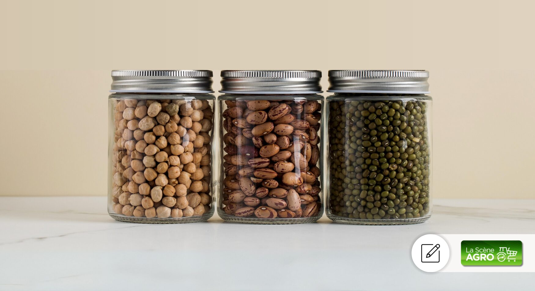 Protéines végétales CTAQ