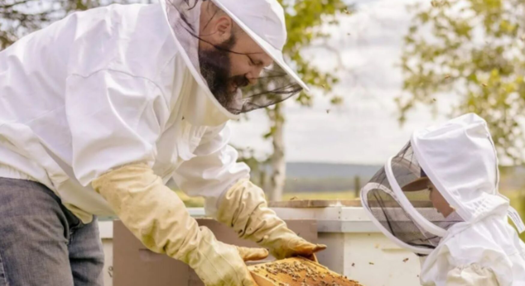 ALiment du quebec hydromel