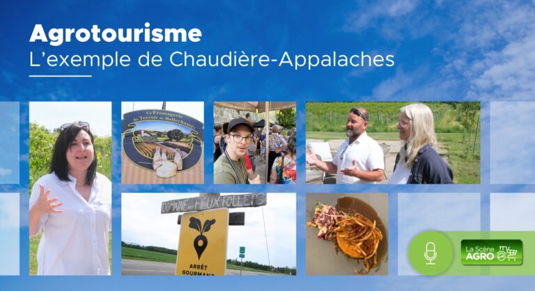 Agrotourisme