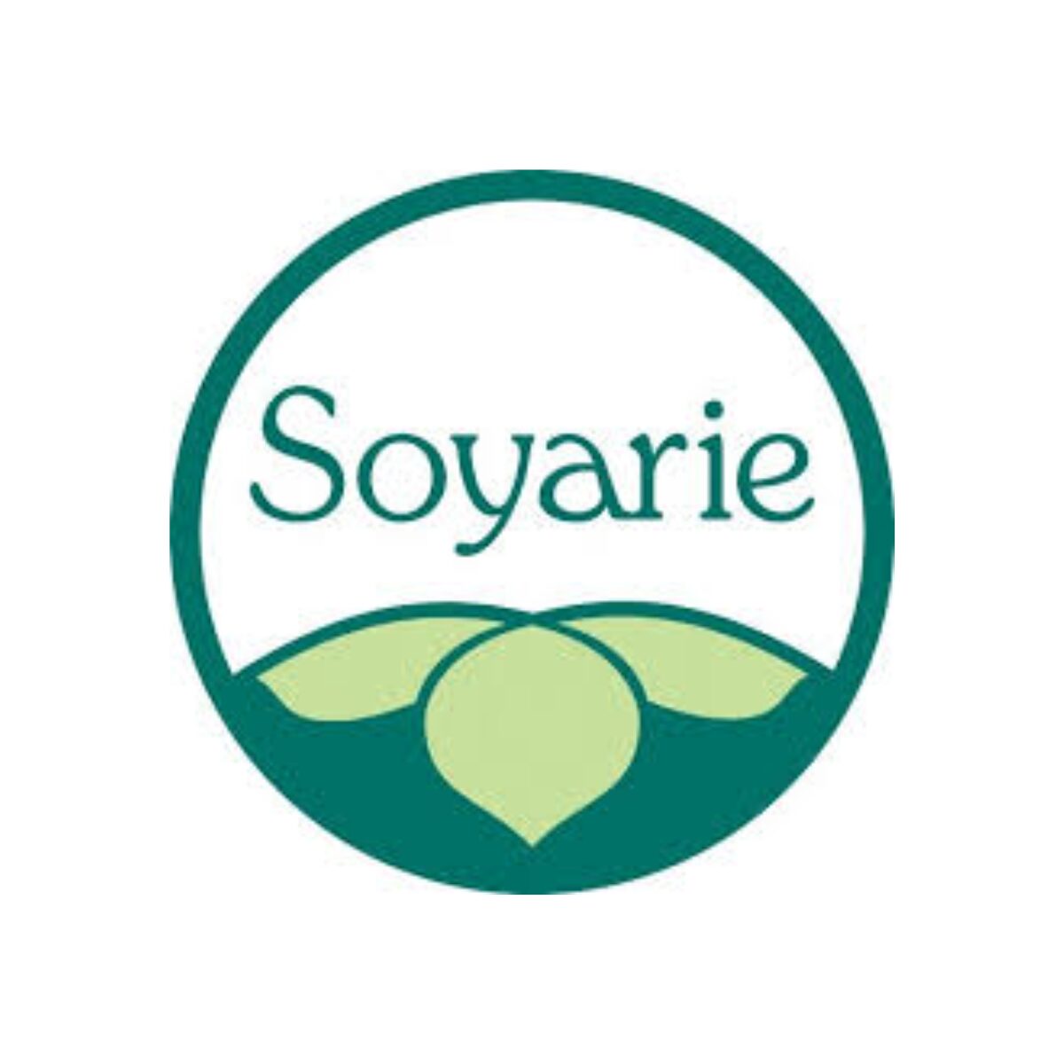 logo1 soyarie