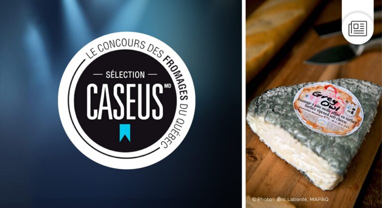CASEUS_greyowl Le concours des fromages du québec gagnant