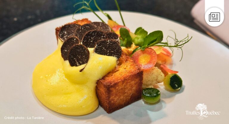 Truffes Québec Communiqué Truffes Québec restaurant la tanière