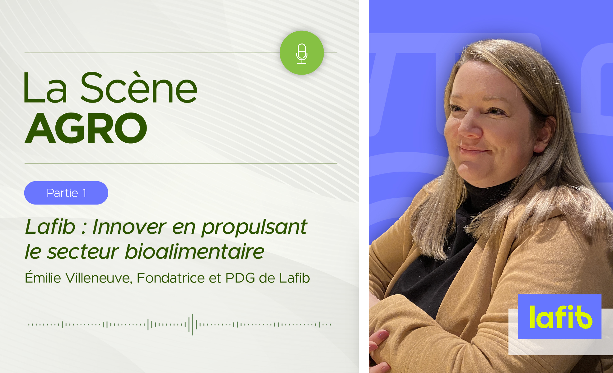 _lafib_partie1_publication_image0 Lafib