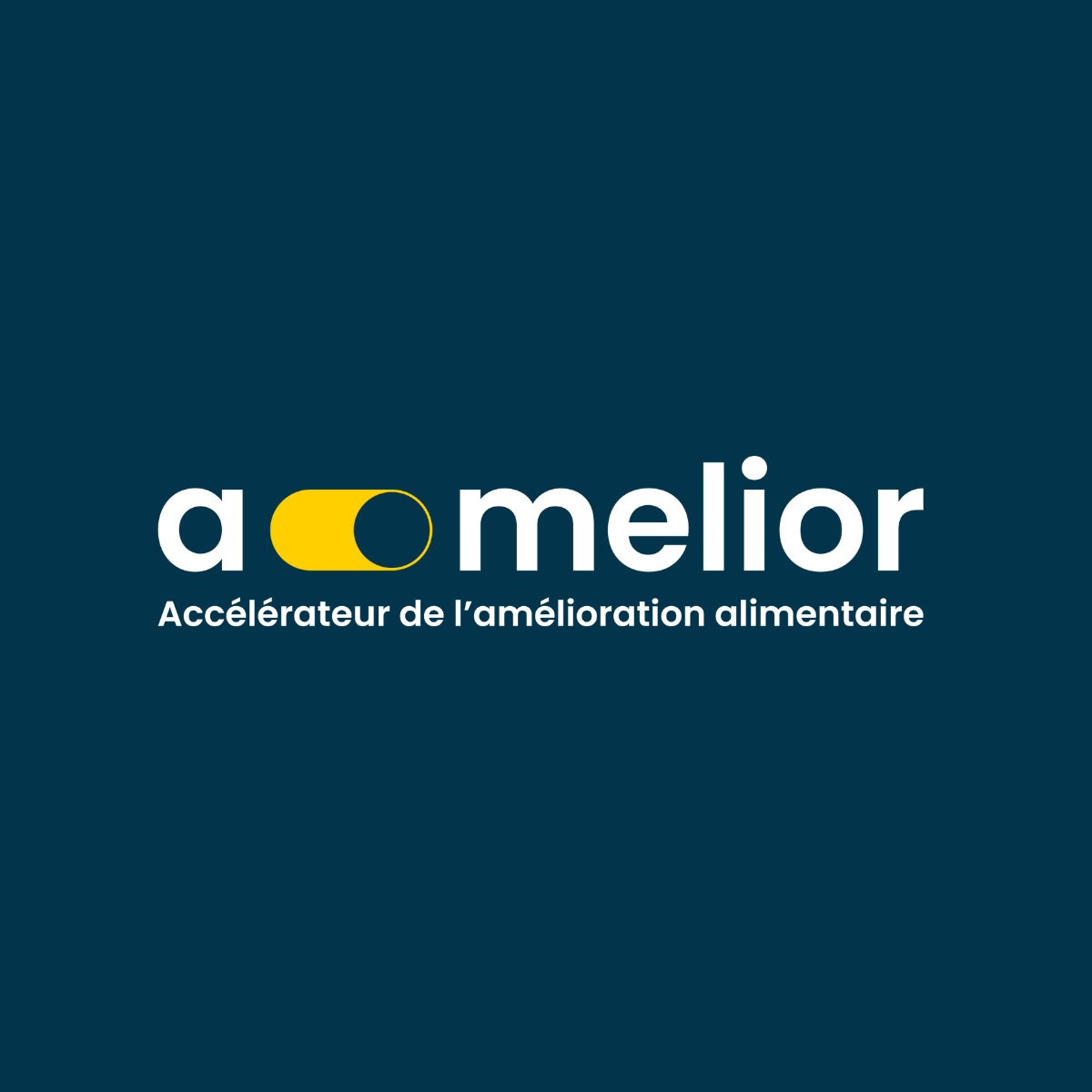 Logo1 Amelior