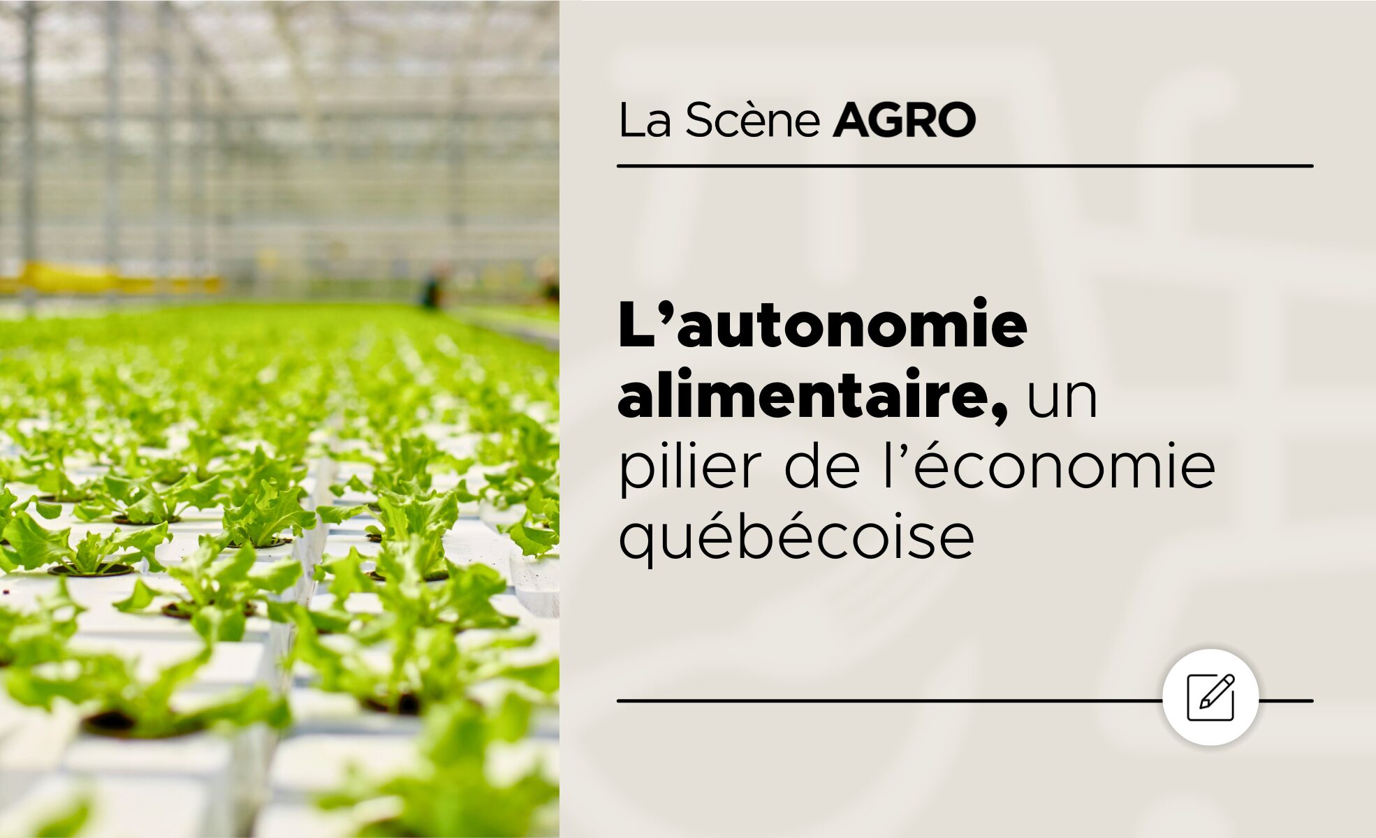 Blogue_Juin_Autonomie Alimentaire Blogue Juin Autonomie Alimentaire
