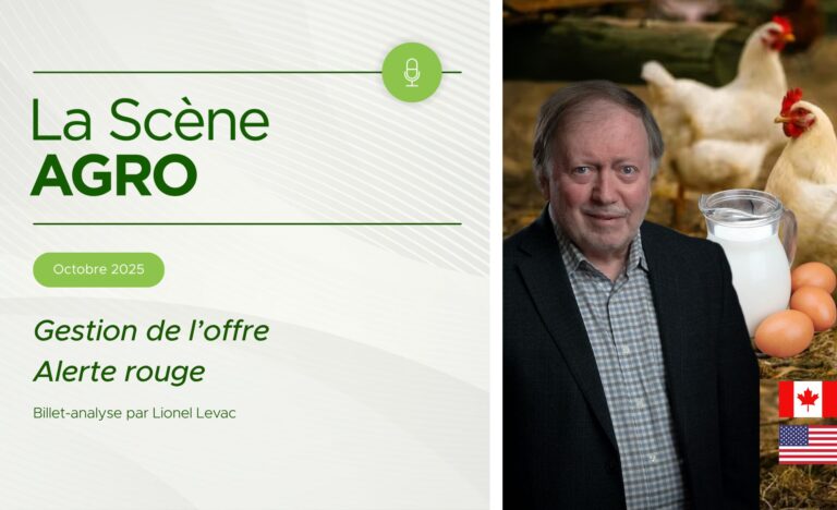 Publication vidéo horizontale (2) gestion de l'offre