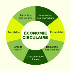Economie circulaire